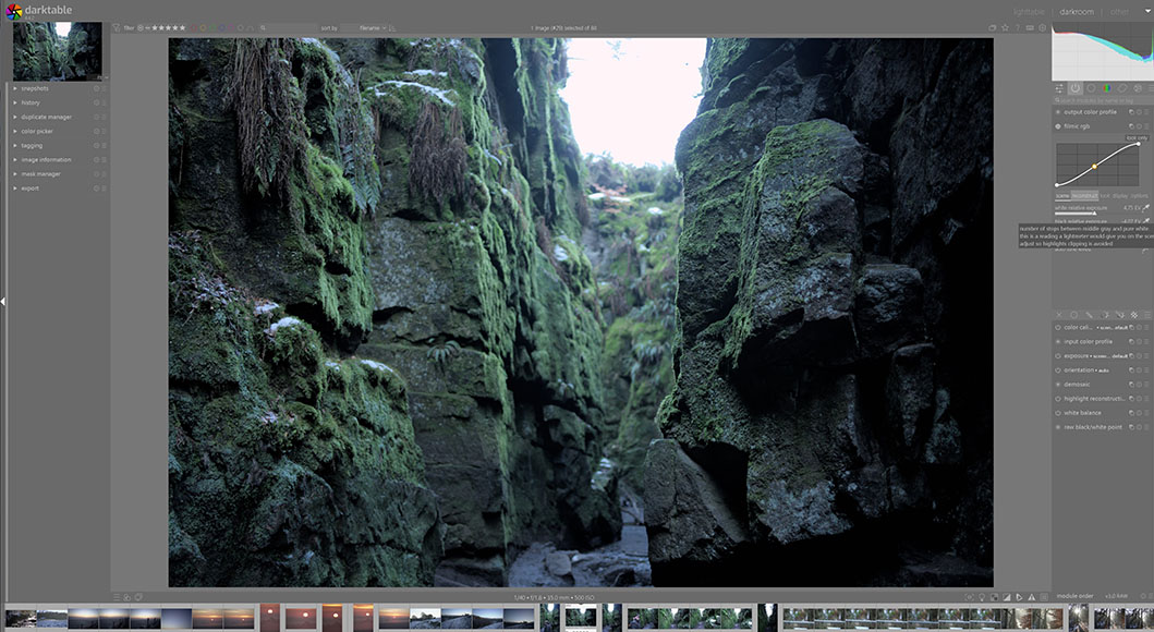 A photo of a canyon with moss and rocks viewed on Darktable software