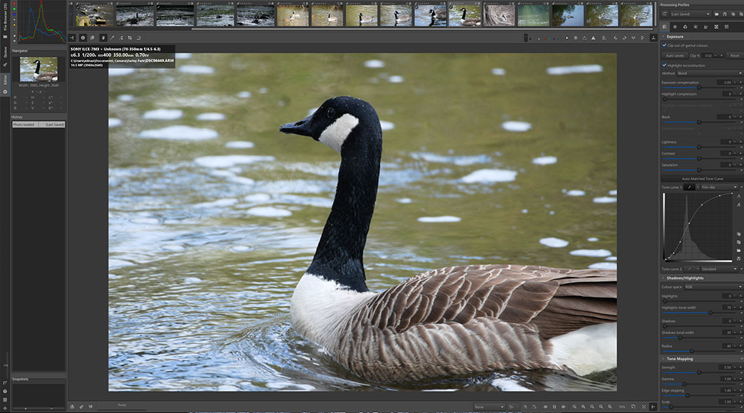 A screenshot of RawTherapee showing a goose on water