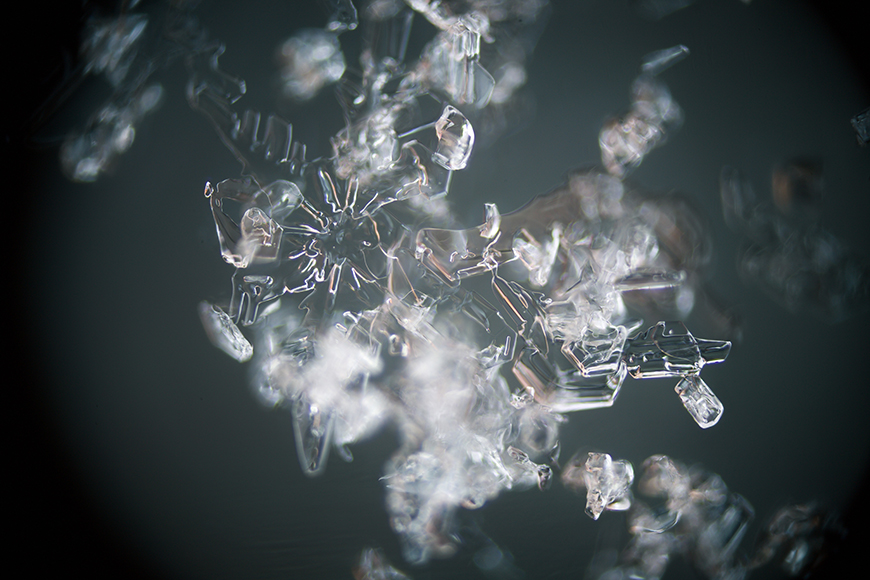 A close up image of a snowflake.
