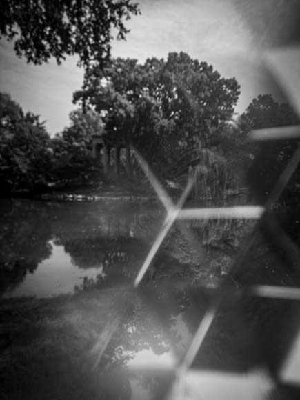 A black and white photo of a pond and trees.