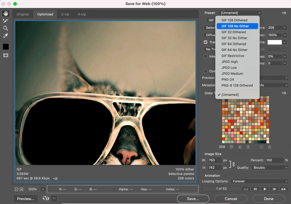 A photo editor with a cat wearing sunglasses.