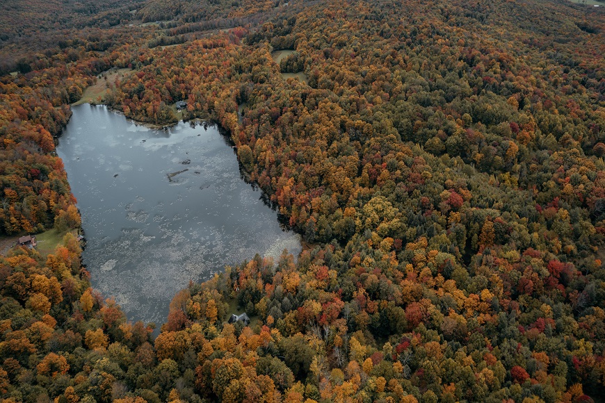 An aerial view of a lake surrounded by fall foliage.