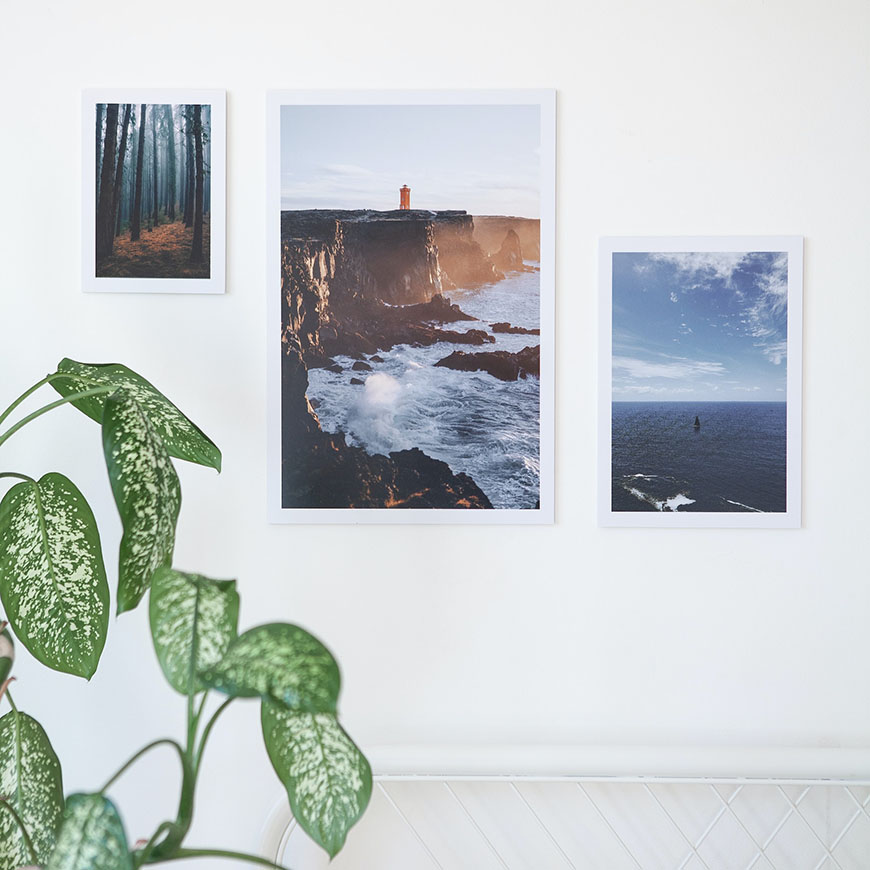 Four framed photos on a white wall with a plant.