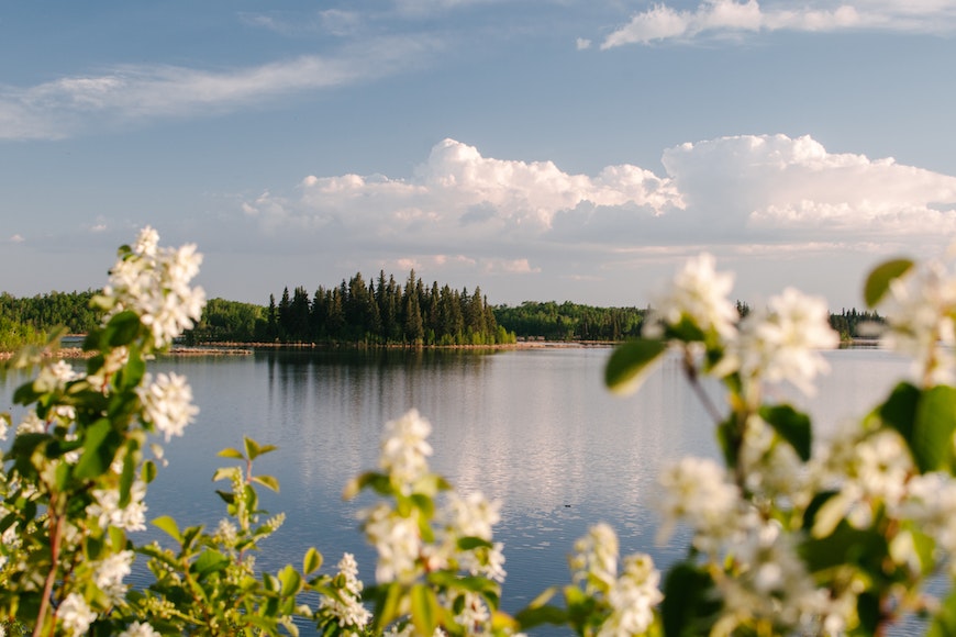A lake with trees and flowers in the background.