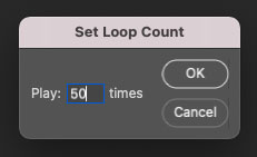 How to set loop count in adobe premiere.