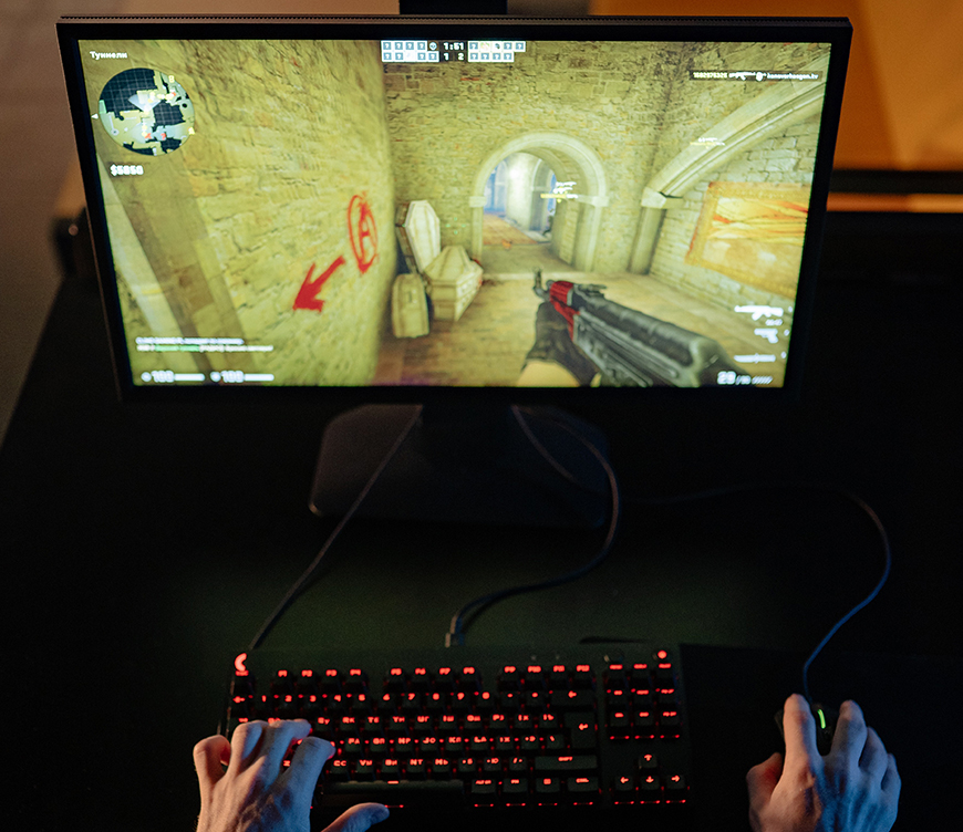 A person playing a video game on a computer.