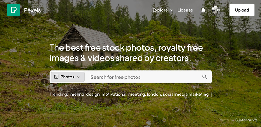 Free stock photos, royalty free images, videos shared by creators.