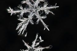 A snowflake is reflected on a black background.