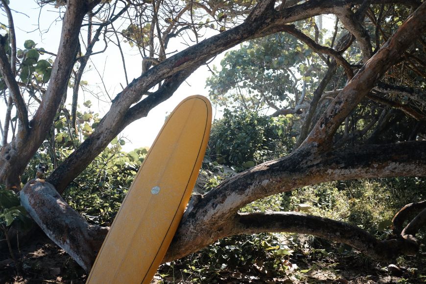 A yellow surfboard leaning against a tree.
