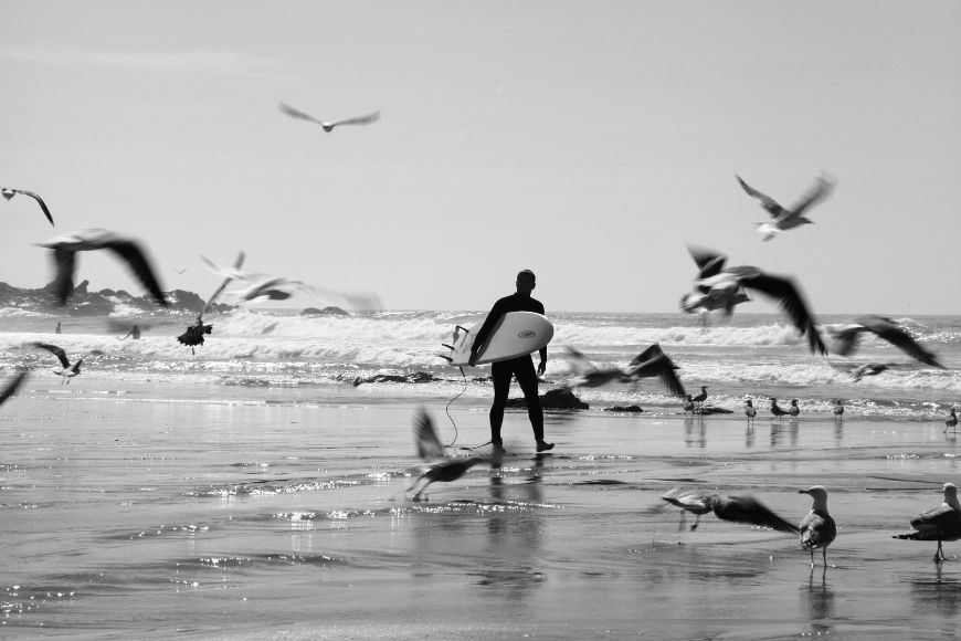 Black and white photo of a surfer walking on the beach with seagulls.