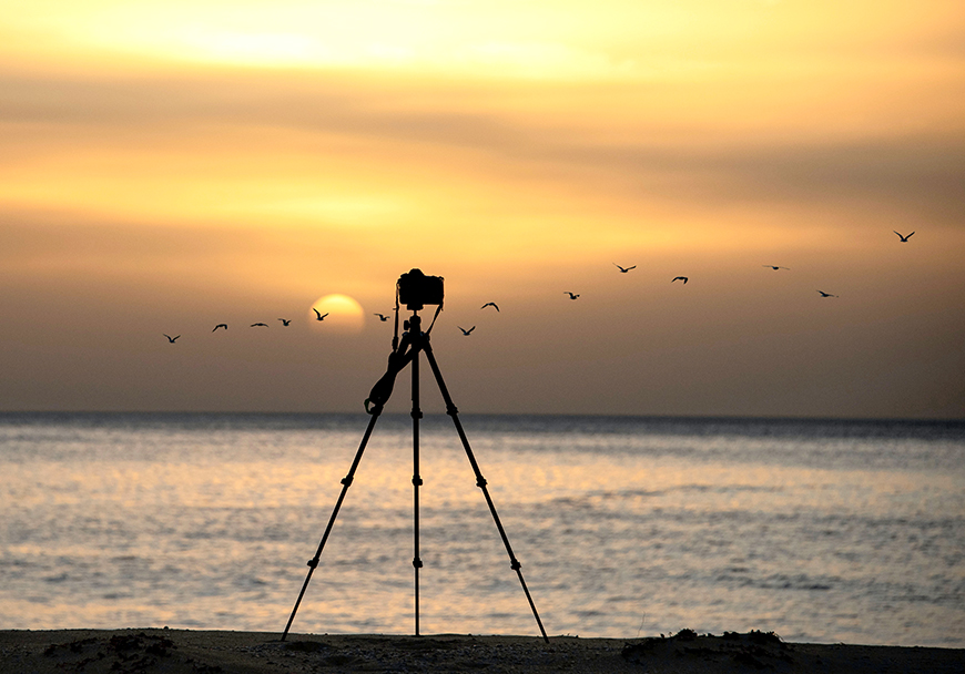 A tripod on a beach with birds flying over it.