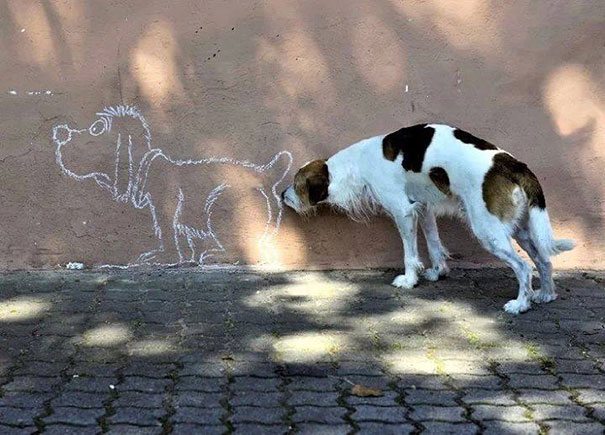 A dog is standing next to a wall with a drawing of a dog.