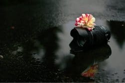 A camera lens sitting in a puddle of water.
