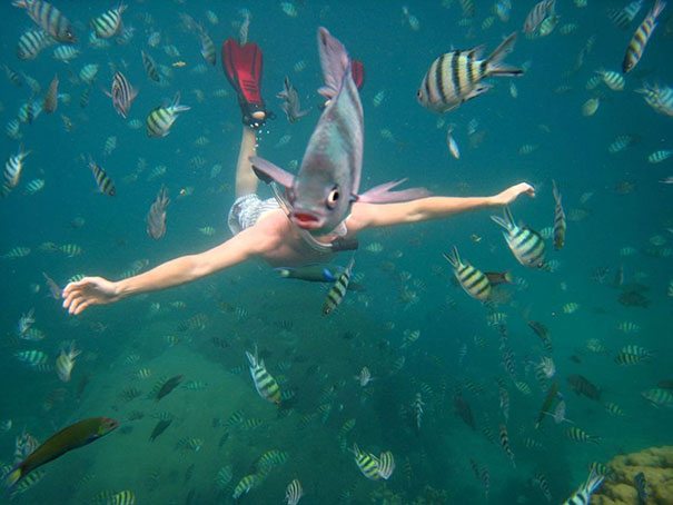 A man snorkling in the water with a lot of fish around him.