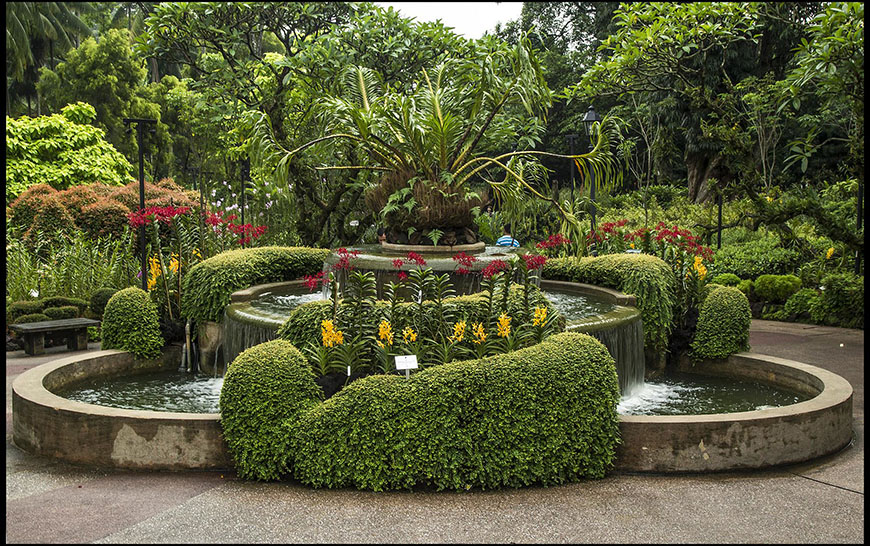 A fountain in a garden.