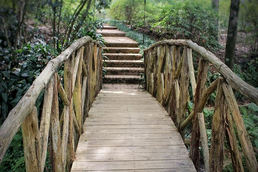 A wooden bridge leading into a wooded area.