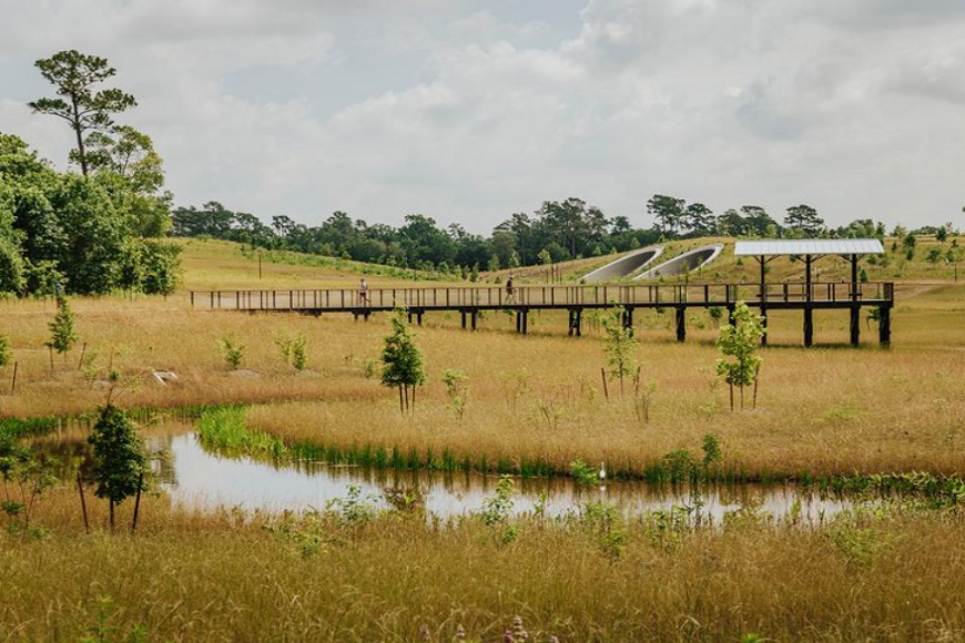 A wooden bridge over a pond in a grassy field.