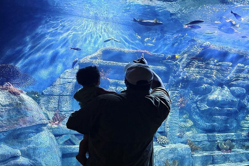 A man and a child looking at fish in an aquarium.