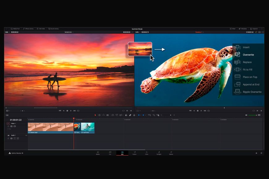 Edit Clips Into the Timelinein DaVinci Resolve with a turtle on the screen.