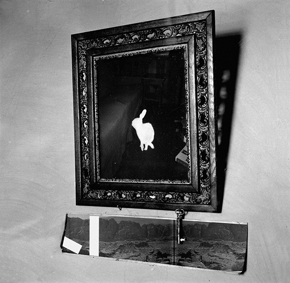A black and white photo of a rabbit in a painting.