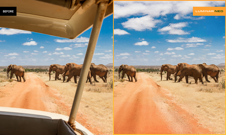 Two photos of elephants walking down a dirt road.