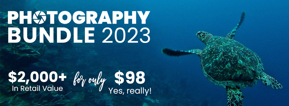 A turtle swimming in the ocean with the words photography bundle 2023.