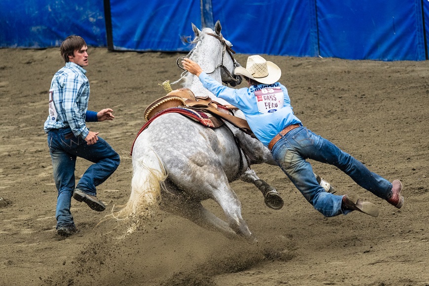 A man is bucking a horse in a rodeo.