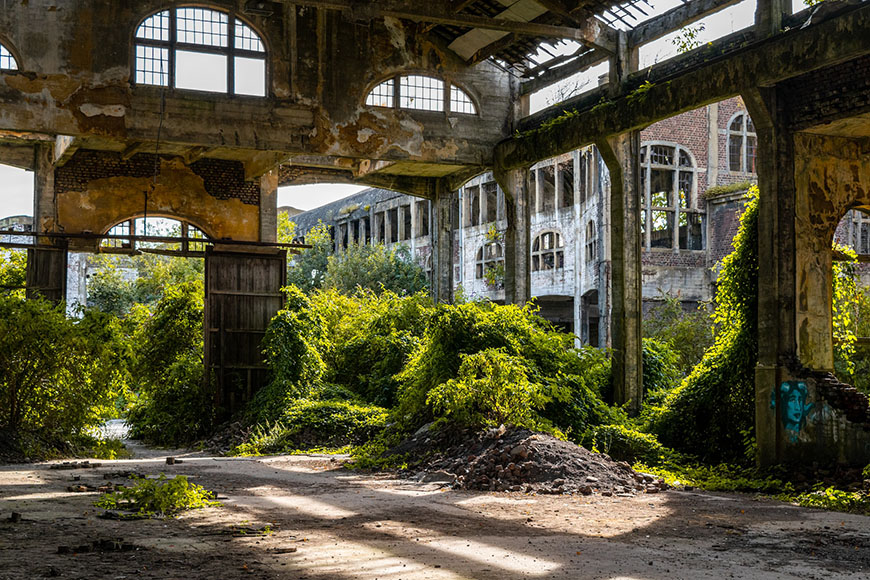 An abandoned building with a lot of vegetation.