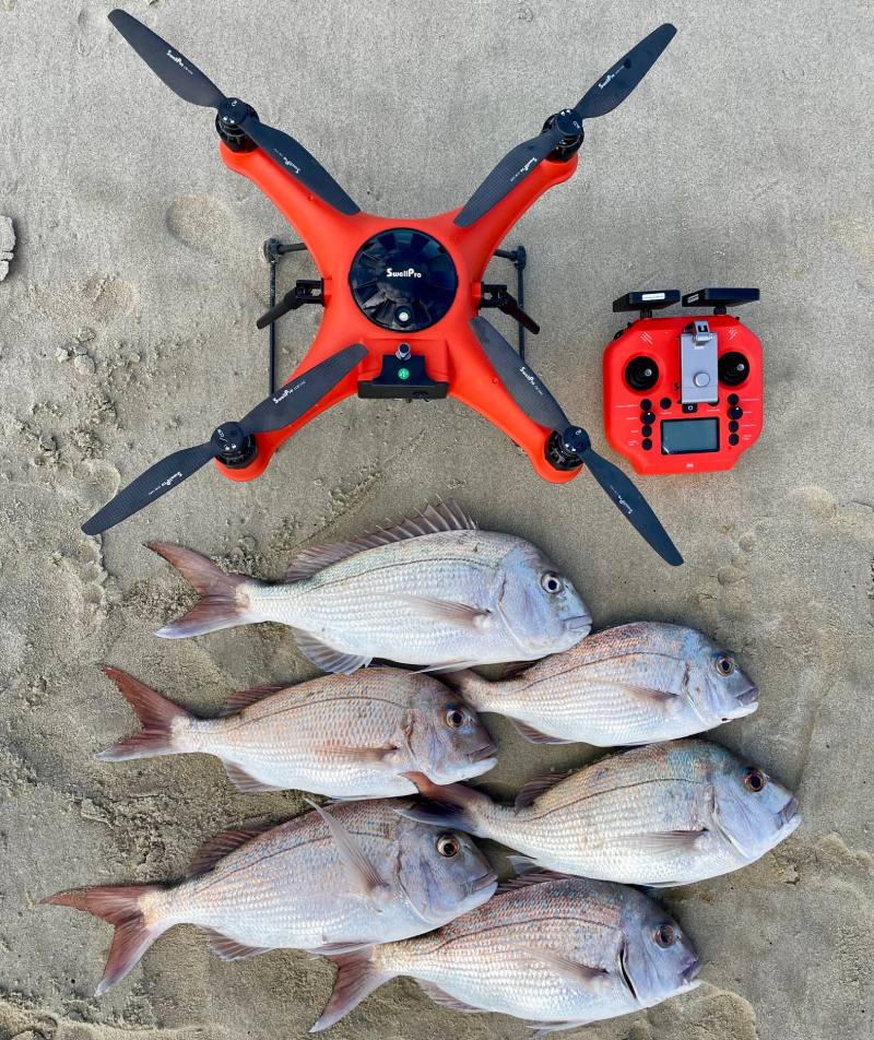 Fish and a drone on the sand.
