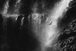 A black and white photo of a bird flying over a waterfall.