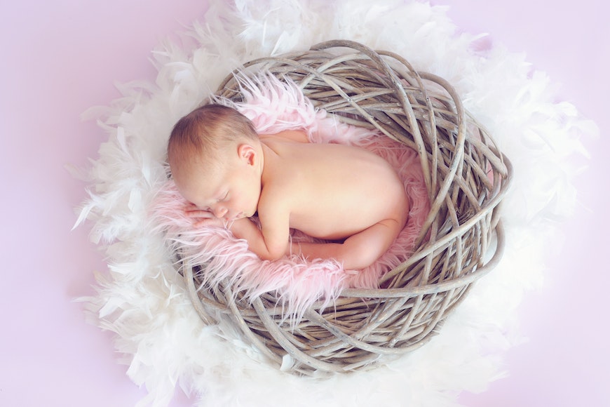 A newborn baby sleeping in a nest on a pink background.