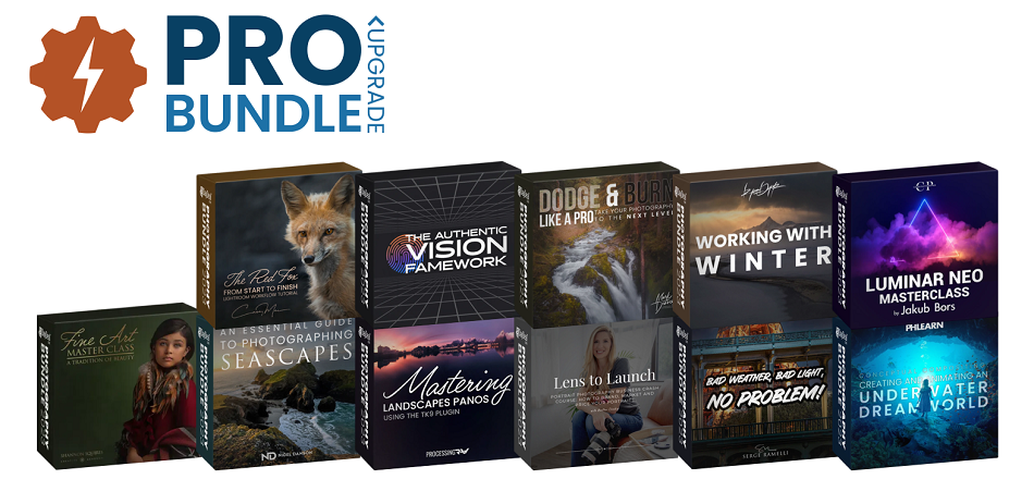 A bundle of books with the words pro bundle.