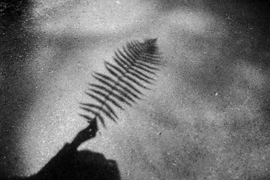 A black and white photo of a person holding a fern leaf.