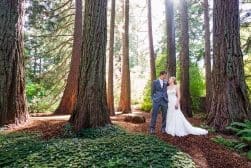 A bride and groom standing in the middle of a redwood forest.