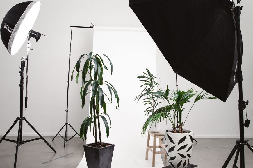A black and white photo studio with plants and a light.