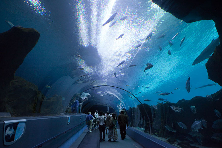A large aquarium with people walking through it.