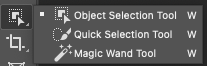 Adobe photoshop object selection tool.