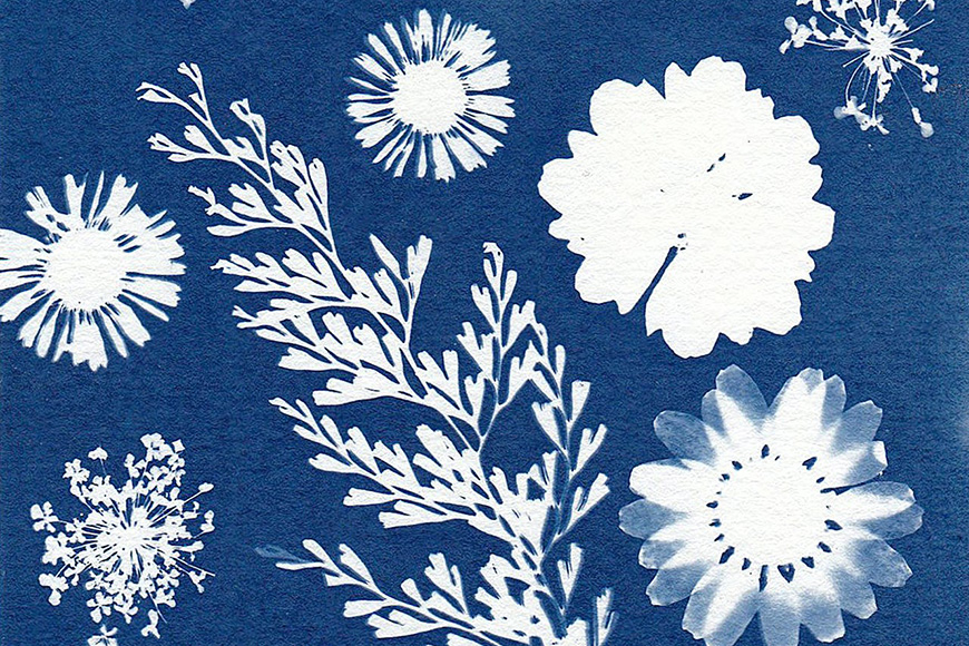 A blue paper with white flowers on it.