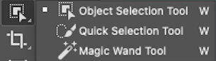 Adobe photoshop cs6 object selection tool.