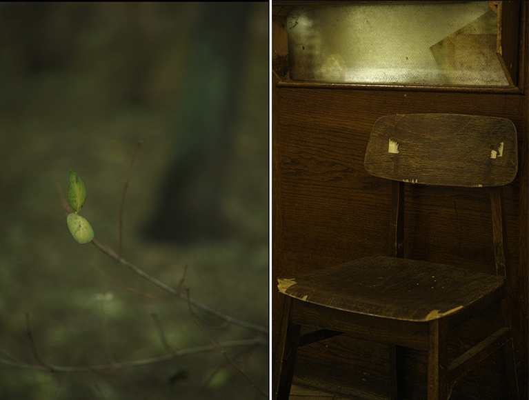 Two pictures of a chair and a tree.
