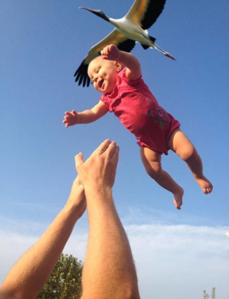 A baby is being held up by a bird in the sky.