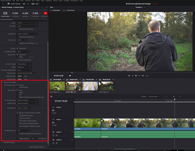 A screenshot of the advanced export settings in DaVinci Resolve video editor