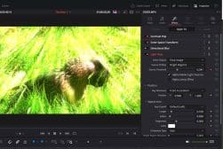 A screen shot of a video editor with a bird in the grass.