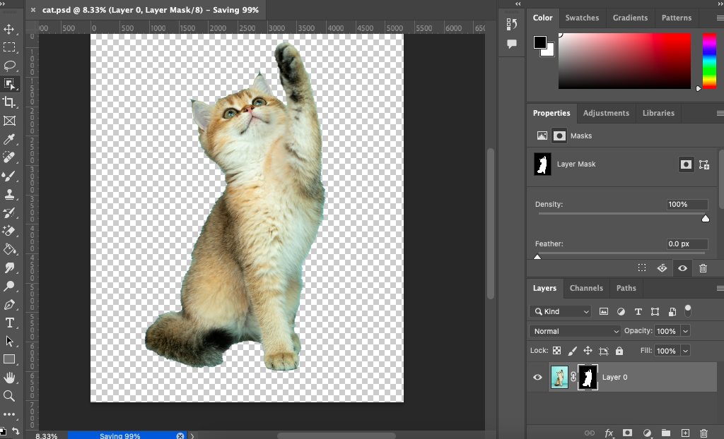 A photo of a cat in adobe photoshop.