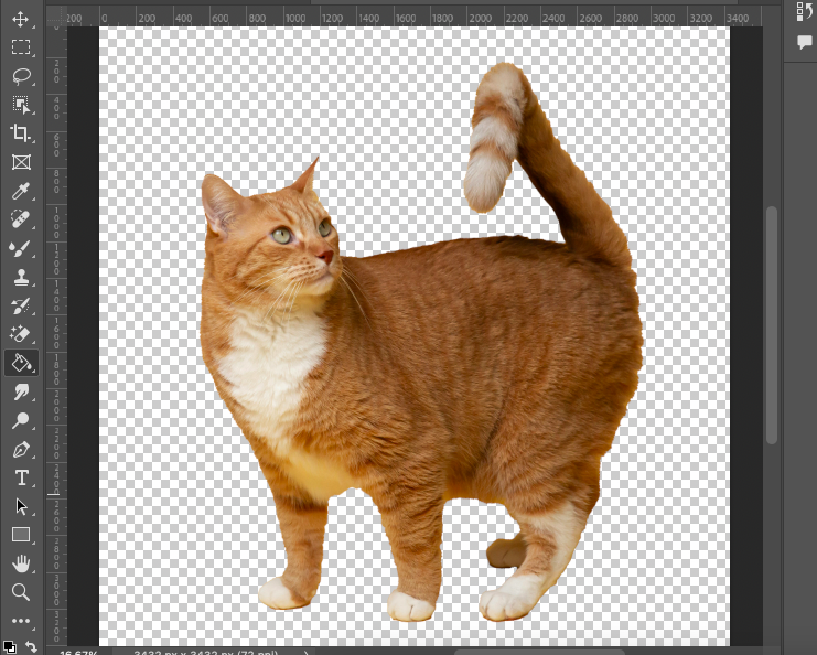 A photo of a cat in photoshop.