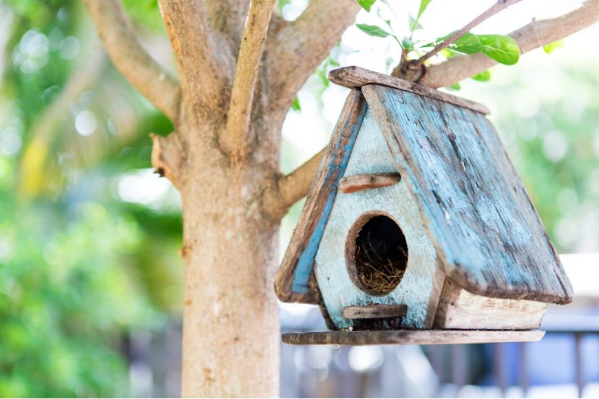 A birdhouse hanging on a tree in a garden.