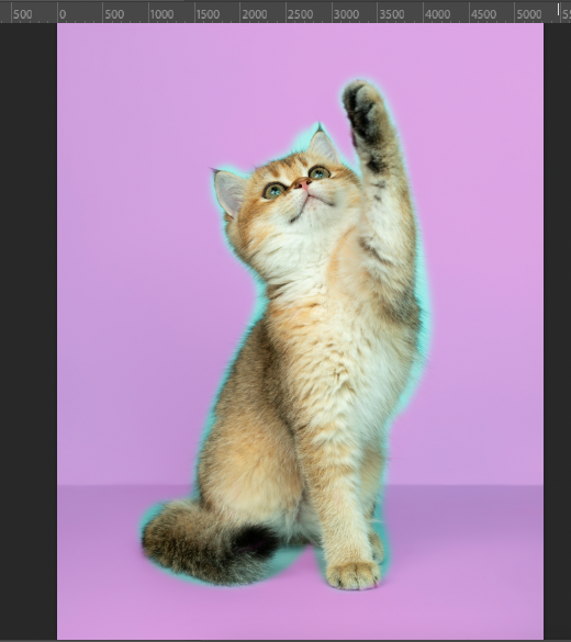 An image of a cat with its paws raised in front of a purple background.