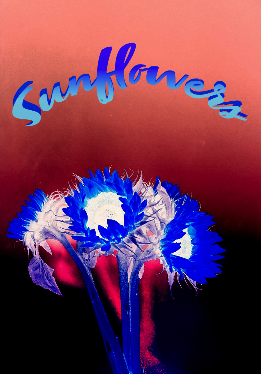A blue flower with the word sunflowers written on it.