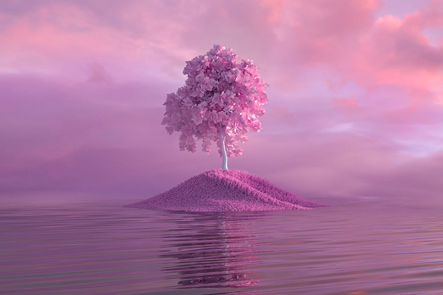 A pink tree on an island in the water.