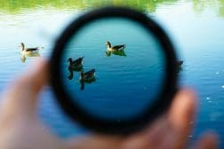 A person is holding a lens over a pond with ducks in it.